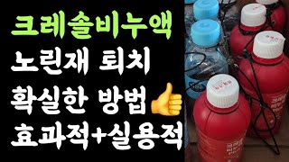 크레솔 비누액으로 노린재 퇴치???? 확실한 방법(효과적+실용적)????