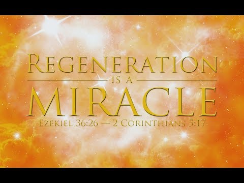 November 2017 Regeneration is a Miracle Accept Believe Receive your Miracle Today Video