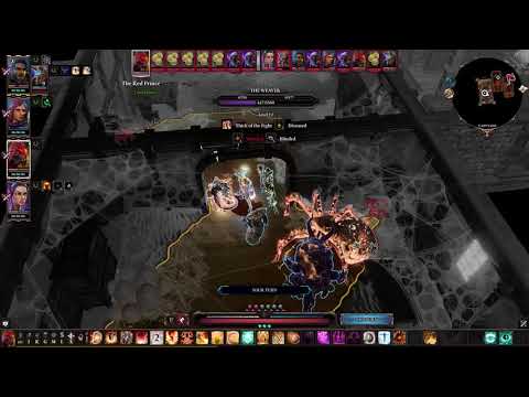 Divinity Original Sins 2 [Definitive Edition] Playthrough Pt.29 - No Commentary