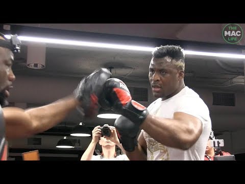 UFC 220: Stipe Miocic vs. Francis Ngannou Open Workout Highlights