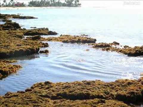 Código C -  Passeando Pelo Céu