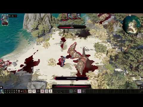 Solo Honour Build - Shadow Assassin