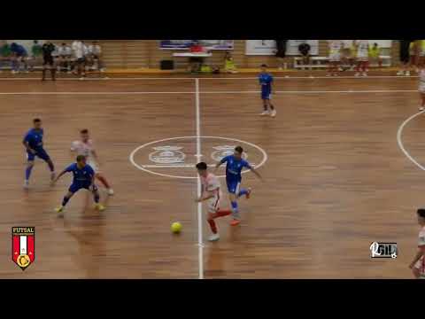 Resumen VISEVER FUTSAL VILLARROBLEDO  QUESOS HIDALGO MANZANARES FS