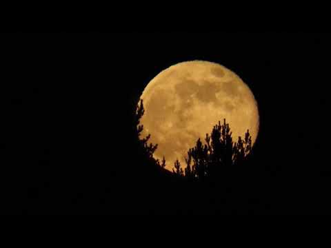 Canción para bañar la luna - María Elena Walsh -. Versión Ukelele