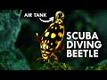 Diving Beetles Are All Natural Scuba Divers