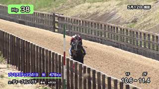 [聊天] CY母公司社長成為馬主