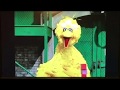 Big Bird S Block Tower Gets Ruined