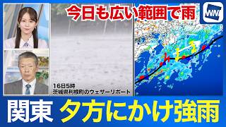 【秋雨前線が停滞】 関東は夕方にかけて雨脚強化 北東風で体感温度も低下