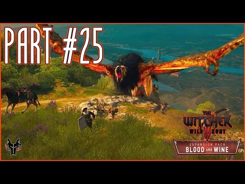 THE WITCHER 3 Walkthrough Part 25 - A PORTRAIT OF THE WITCHER AS AN OLD MAN (BLOOD AND WINE DLC)