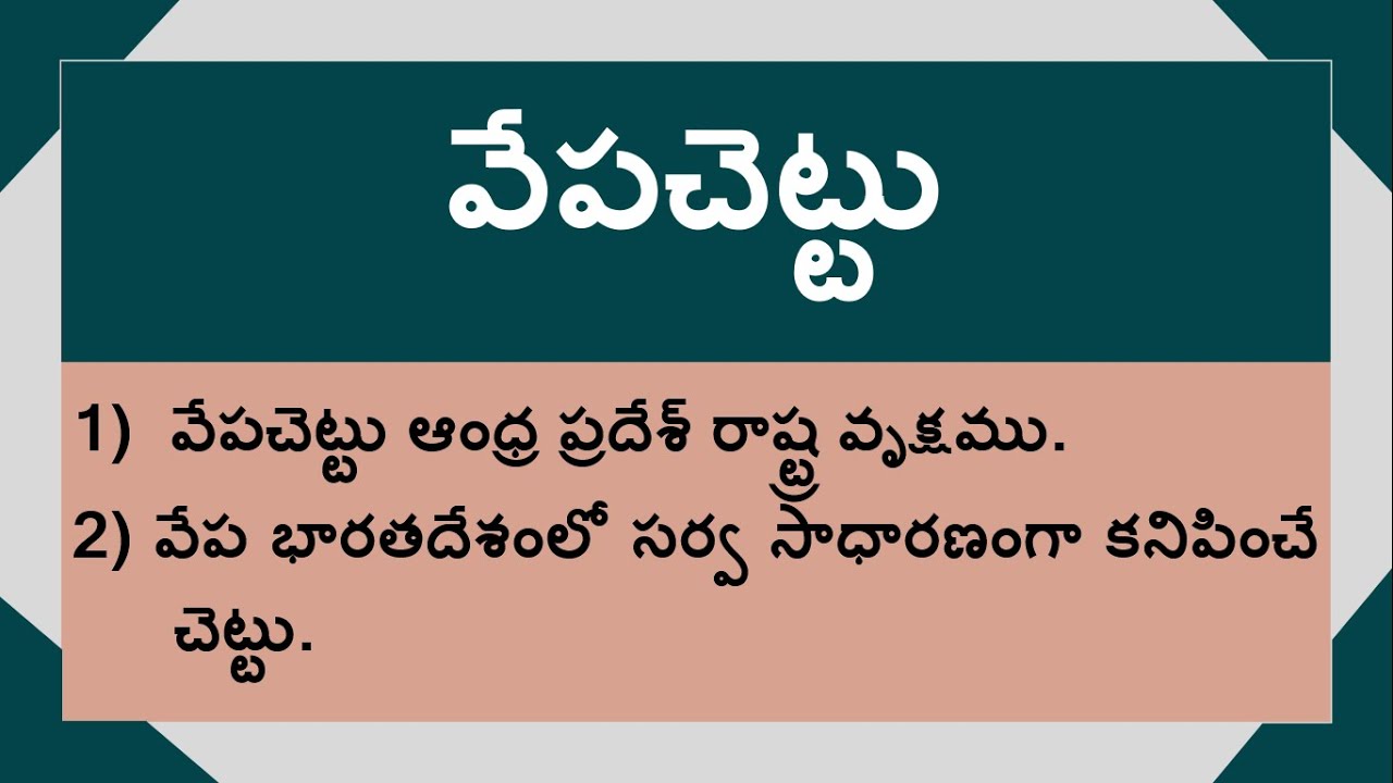 10 Lines on Neem Tree in Telugu | Essay on Neem Tree in Telugu | Neem