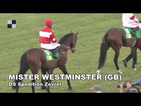 Galopp-TV - St. Leger 2013 - Jan Rája - MISTER WESTMINSTER