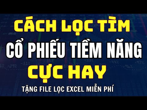 Khám Phá Tiềm Năng Cổ Phiếu VSM: Review CTCP Container Miền Trung