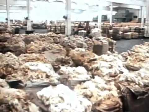 Mittendrin 36 Haut - nah - Umweltmagazin mit Peter Lustig