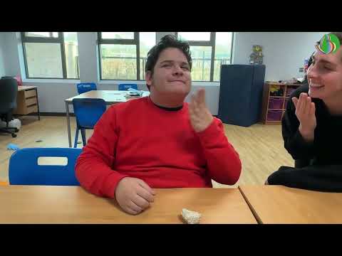 A Day in the Life of a Learning Support Assistant (LSA)