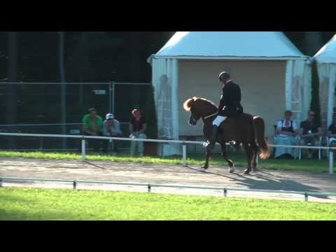 Eldur vom Schwäbischen Wald, WK11T2 (audio off)