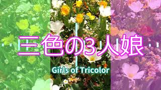 【BGM】Girls of Tricolor【三色の3人娘】