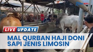 Menengok Mal Qurban Haji Doni di Cimanggis Depok, Ada Pilihan Sapi Limosin hingga Brahman Cross