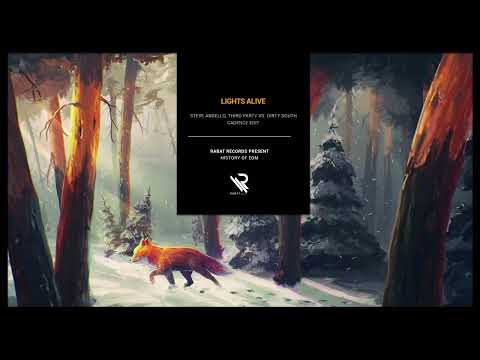 Steve Angello, Third Party vs. Dirty South - Lights (Alive) (Cadence Remix)