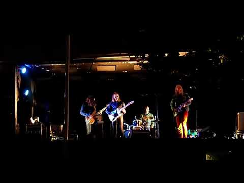 Tuhosieni - Sumu @VantaaKaupMuseo 27.9.2024