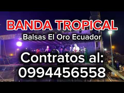 𝐁𝐀𝐍𝐃𝐀 𝐓𝐑𝐎𝐏𝐈𝐂𝐀𝐋 𝐔𝐧𝐚 𝐁𝐚𝐧𝐝𝐚 𝐒𝐢𝐧 𝐈𝐠𝐮𝐚𝐥 - Balsas El Oro Ecuador: 𝗖𝗢𝗡𝗧𝗥𝗔𝗧𝗢𝗦 𝗔𝗟: 𝟬𝟵𝟵𝟰𝟰𝟱𝟲𝟱𝟱𝟴