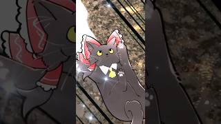 真ん中に面白可愛い物滑り込んでくる#shorts