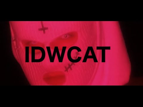 devilish polo - IDWCAT