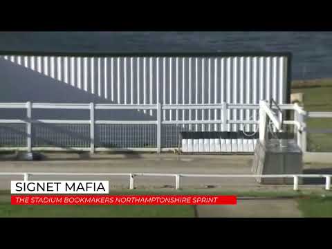 Signet Mafia - THE STADIUM BOOKMAKERS NORTHAMPTONSHIRE SPRINT