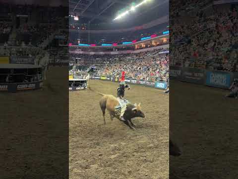 Cassio Dias DOES IT AGAIN!!!!!!