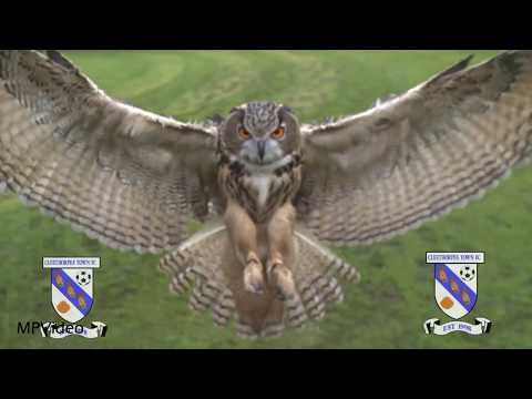Clee Town v Carlton Town Highlights