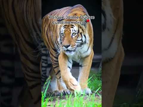 Parque jaime duque 📍 #colombia #cundinamarca #fyp #turismo #travel #viajes