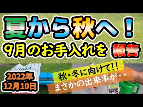 秋の芝生の肥料：いつ、どのように芝生に肥料を与えるのですか？完全ガイド  庭園
