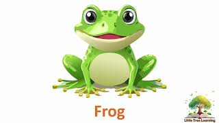 Download the video "Lesson 2, Using Basic Colours, Basic English For Young Learners, Learn English, Little Tree Learning"