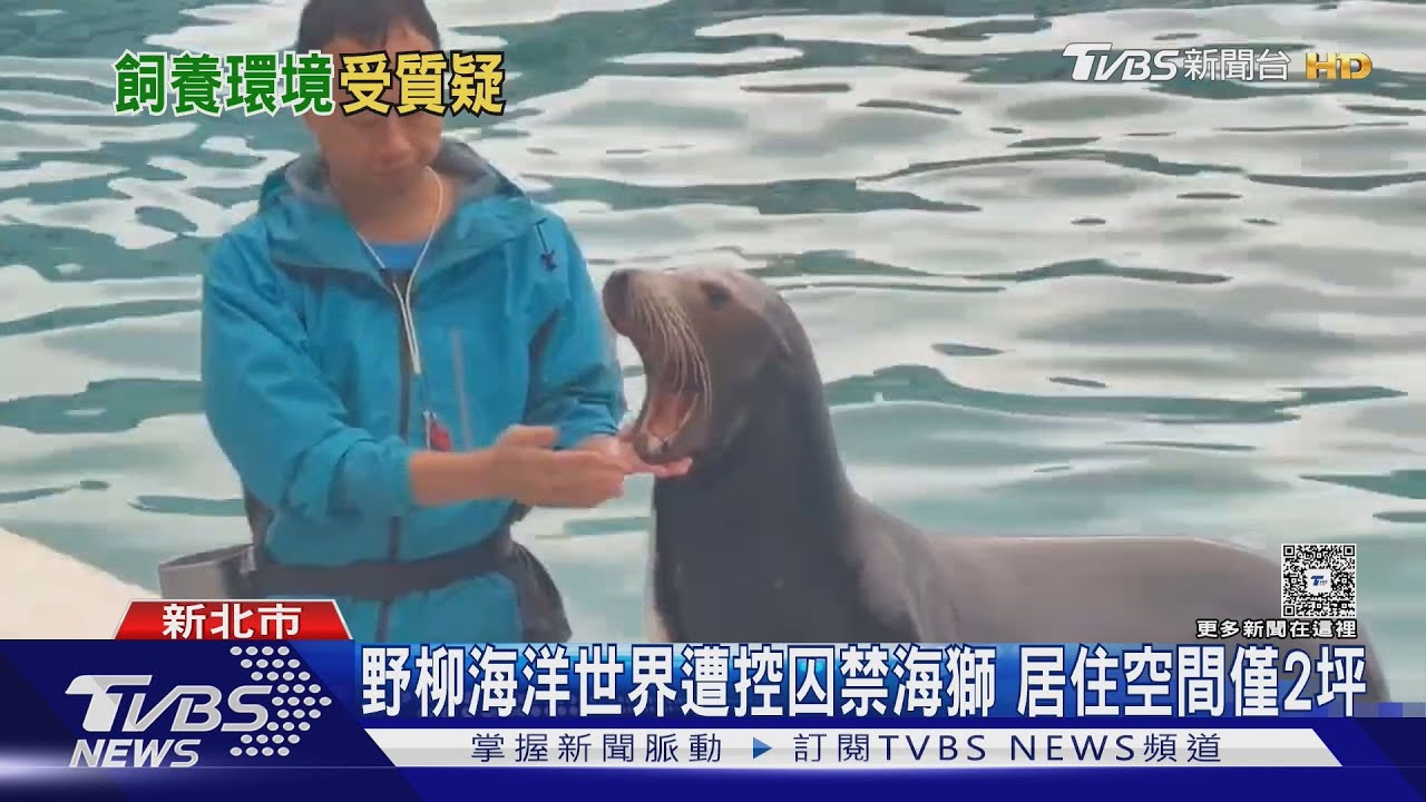野柳海洋世界遭控「囚禁動物」!海獅休息區僅2坪 業者喊冤