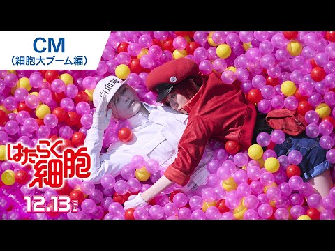 SPOT（細胞大ブーム編）