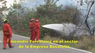 preview picture of video 'SEÑAL CABLE ONIX INCENDIO FORESTAL EN PUERTO WILCHES SDER 30/01/2013'