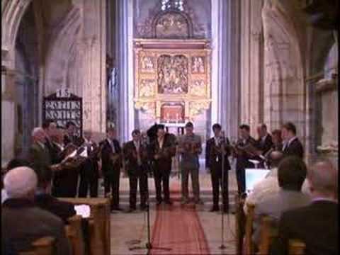 O, frunte n sangerata