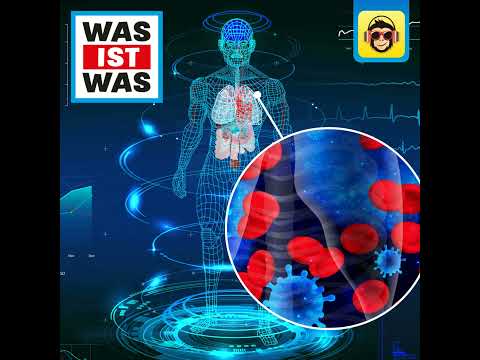 Der menschliche Körper – Angriff der Mikrowesen | WAS IST WAS – Der Podcast