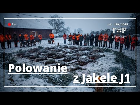 Polowanie zbiorowe na dziki i jelenie z Marką Jakele