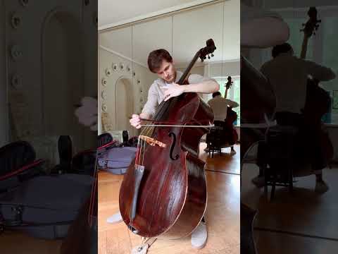 J.S. Bach: Suite Nr. 6, Prelude