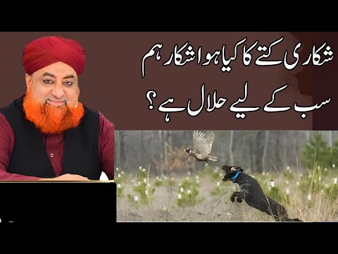Shikari Kutte Ka Shikar Hala Ha ? | Islamic Rulings on Hunting Dog | Mufti Muhammad Akmal