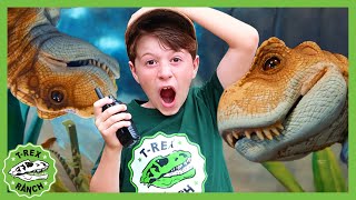 Can You Find the Baby Dinosaur?! 🦖 | T-Rex Ranch Dinosaur Videos for Kids