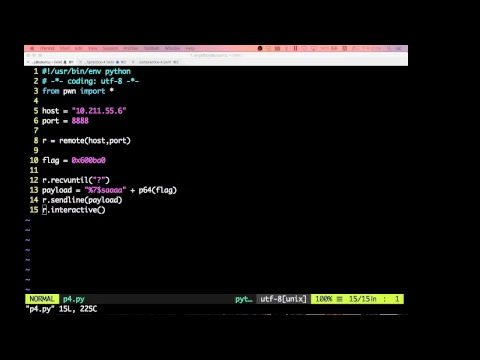 Binary Exploitation - ROP/FMT