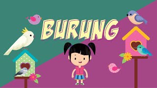 Belajar Mengenal Nama-nama Burung | Bunbun Learning Birds