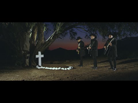 Vena De Rey - De la Torre