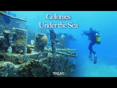 Colonies Under the Sea | Epoch Cinema