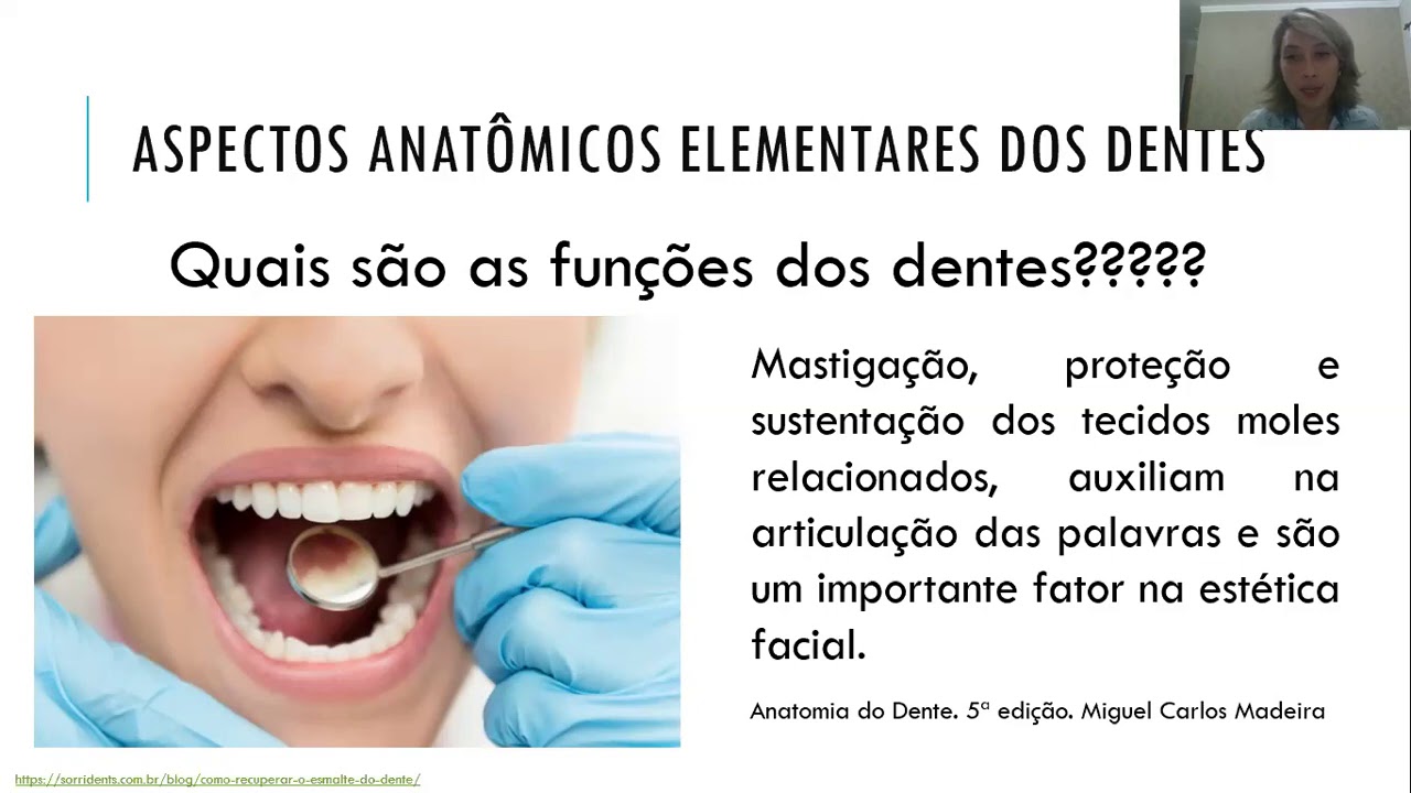 Aula inicial Anatomia e Escultura Dental