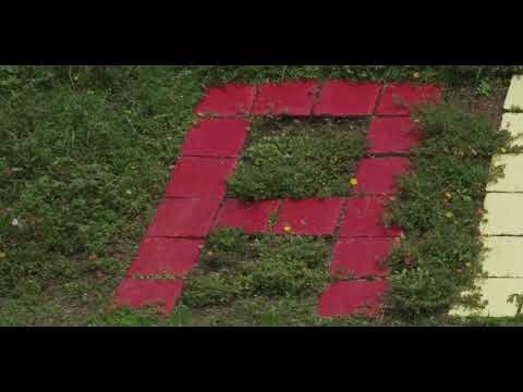 Ras Sparrow feat.Queen Sparrow - Zion Town (Clipe Oficial)