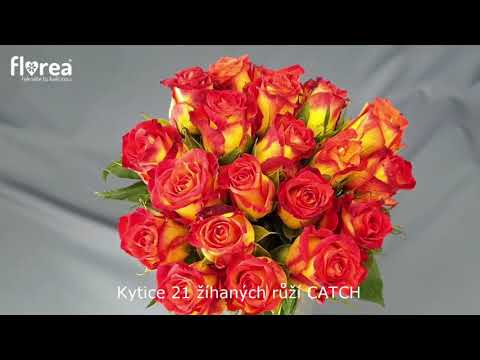 Kytice 21 žíhaných růží CATCH