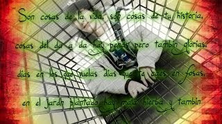 Porta Cosas de la Vida (letra)  HD (UH)