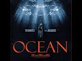 T K Kravitz Ocean Clean